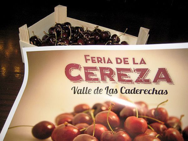 El Valle de Las Caderechas espera una campaña récord con 300 toneladas de cereza