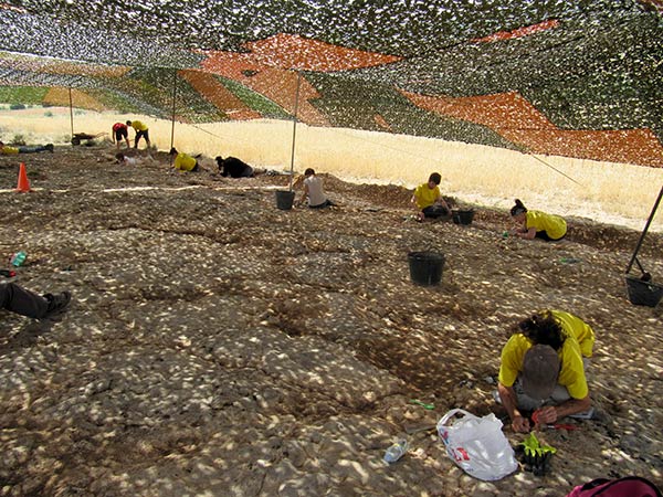 Una nueva excavación buscará huesos de dinosaurio en Torrelara