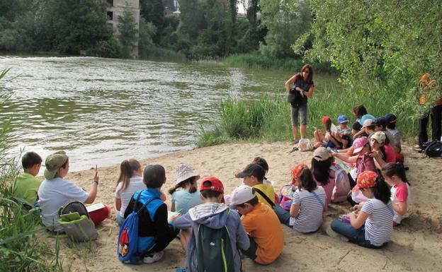 El programa se desarrollará en los centros de educación/ICAL