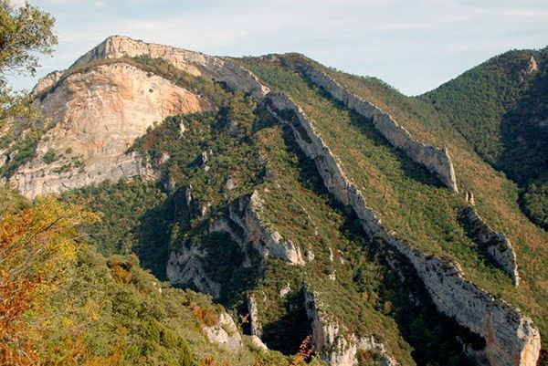 400.000 euros para reducir el riesgo de incendios en Oña