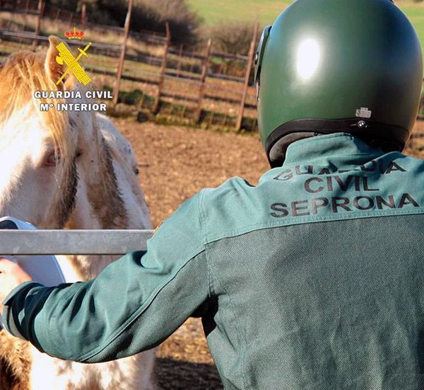 Un veterinario y tres ganaderos, imputados por falsificación