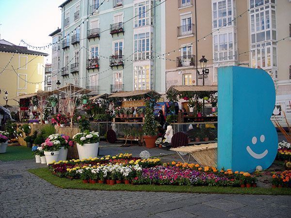 Las flores invaden el centro de Burgos