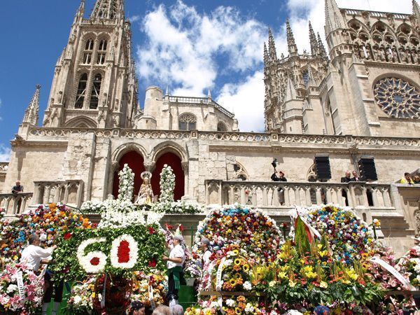 Un agasajo de 40.000 flores