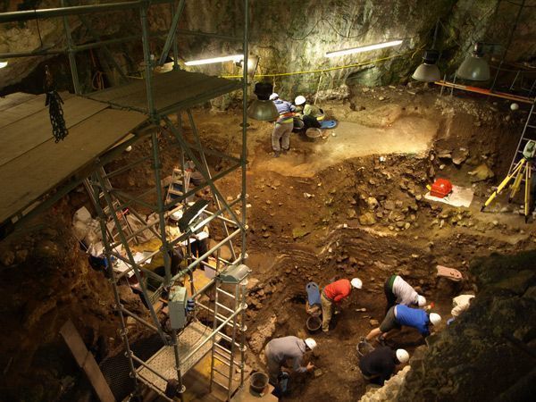 Atapuerca aspira a modificar toda la taxonomía evolutiva