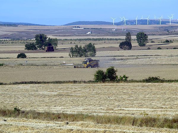 Agricultores y ganaderos reciben 8,4M€ de los fondos de Desarrollo Rural