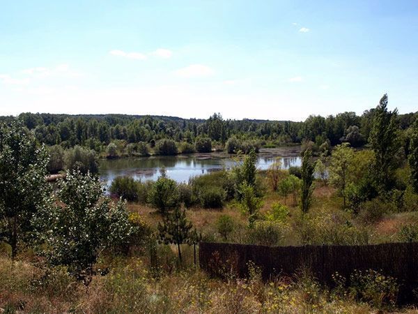 Caja de Burgos y ‘la Caixa’ apoyan 18 proyectos medioambientales