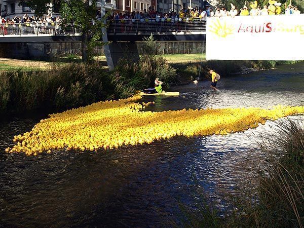 El Arlanzón se viste de amarillo por el alzheimer