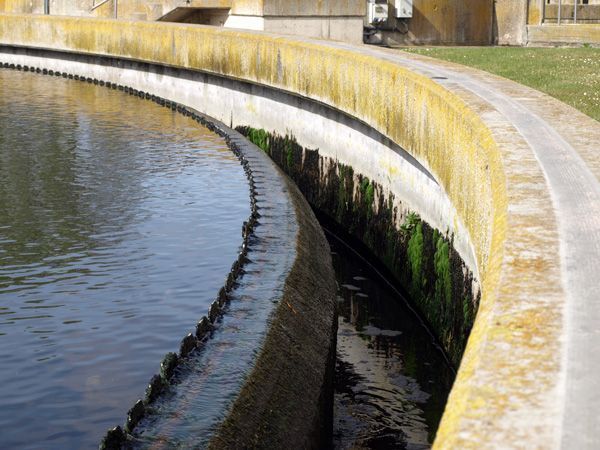 Un reconocimiento a las apuestas municipales por el medio ambiente