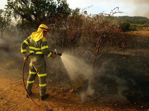 La Junta apunta a “causas humanas” en el incendio del Arlanza