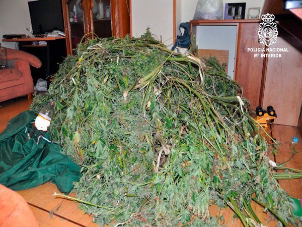 Siete detenidos por transportar 75 kilos de marihuana