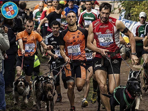 El IX Canicross estrena Circuito de Media Distancia