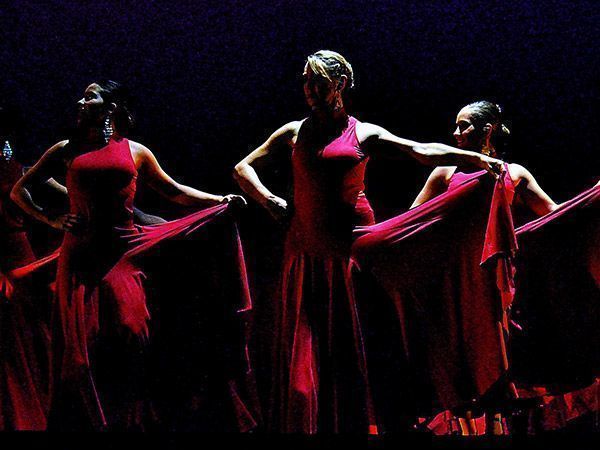 Actividades culturales para el 28 de diciembre