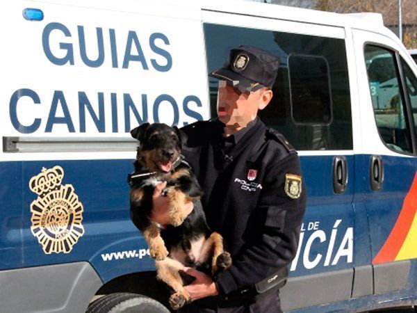 Un dron de Policía Nacional investiga el incendio de Campofrío