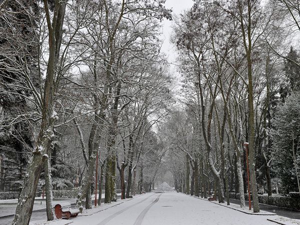 Activado el Plan de Emergencias Municipal por posibles nevadas