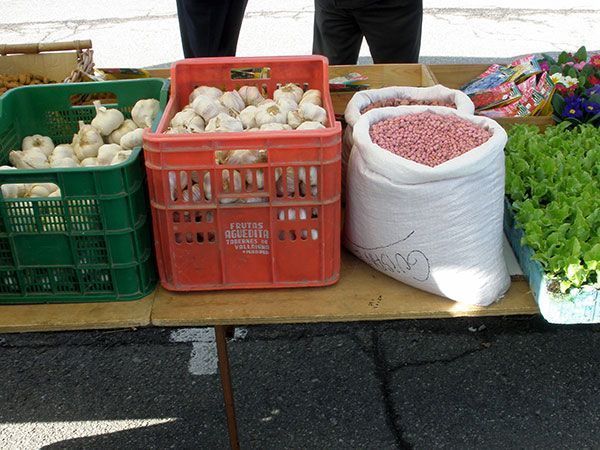 Requisan ajos, habas y guisantes no aptos para el consumo en ‘El Plantío’