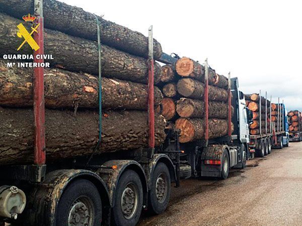 Pillados nueve camiones que circulaban con hasta 5 toneladas de sobrepeso