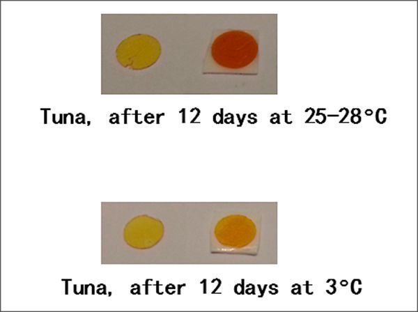 La UBU patenta una “etiqueta inteligente” que determina la frescura de pescados envasados