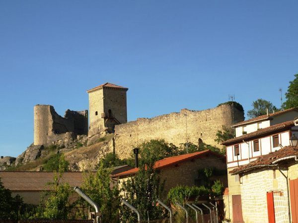 Blanco denuncia la inclusión de 17 monumentos de Burgos a la ‘Lista Roja’