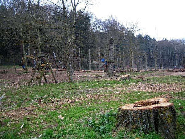 Fuentes Blancas, Paseo del Espolón, La Isla… zonas de tala “controlada” de árboles