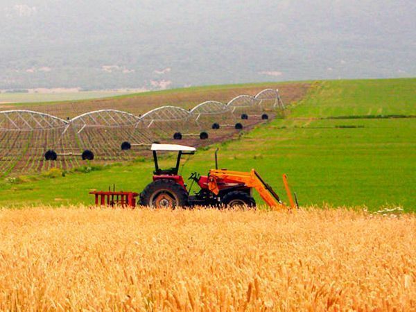 Agricultores y ganaderos piden al Ministerio más tiempo para formalizar la PAC