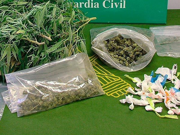 Desmantelan un laboratorio de marihuana que suministraba en zonas de ocio de Oca y Tirón