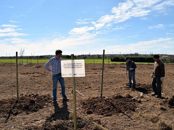 FAE, Smurfit Kappa e Iglecar reforestan el paraje de Las Garzas en Burgos