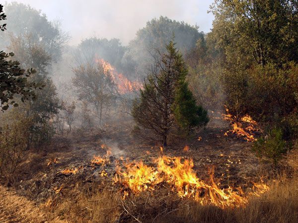 Ingenieros de Montes temen un inicio de la campaña contra incendios sin suficientes cuadrillas