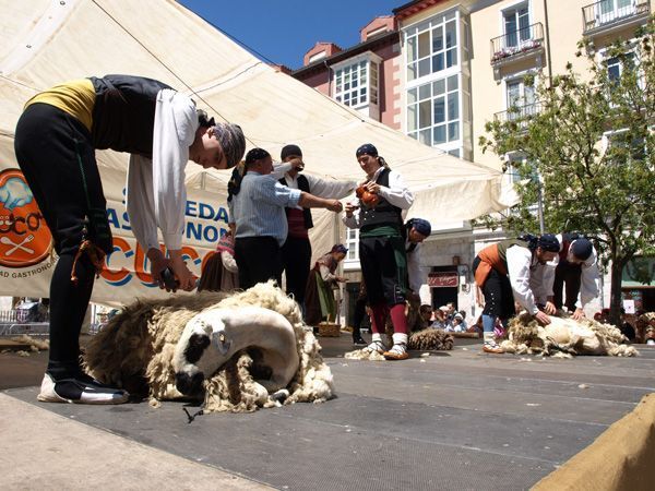 La Fiesta del Esquileo de Los Cucos vuelve a la Plaza Huerto del Rey