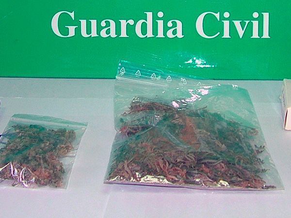 Detenido en Las Merindades por traficar con marihuana en un parque