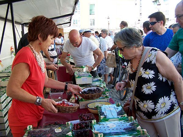 La dulzura del sol acaricia la cereza en su fiesta gastronómica