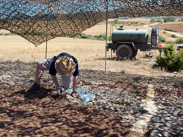 Los últimos hallazgos de icnitas marcarán la nueva campaña en Las Sereas