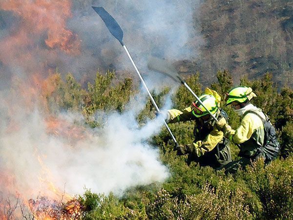 Continúa el “lento” proceso de negociaciones entre las BRIF y Tragsa