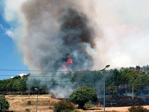 Un incendio en la barriada Yagüe deja 14 hectáreas calcinadas