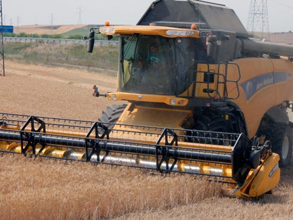 Burgos cosecha 1,34 millones de toneladas de cereal, un 15% menos que en 2014