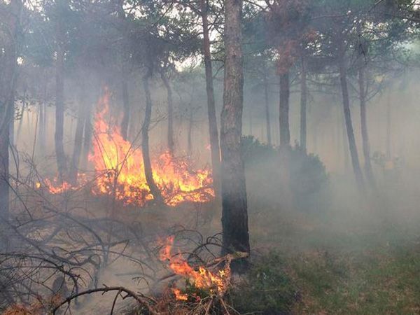 Dos incendios forestales activan las alarmas en el norte de la provincia