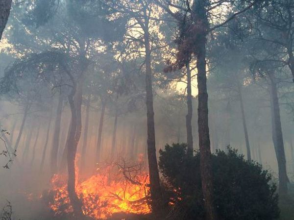 Continúa activo el incendio de Valderredible, declarado de Nivel 1 por la Junta