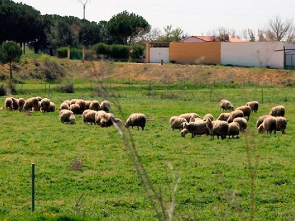 La Junta debe en Burgos alrededor de 25M de euros en Fondos de Desarrollo Rural