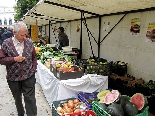 Una Feria de la Biodiversidad muy dulce y muy natural