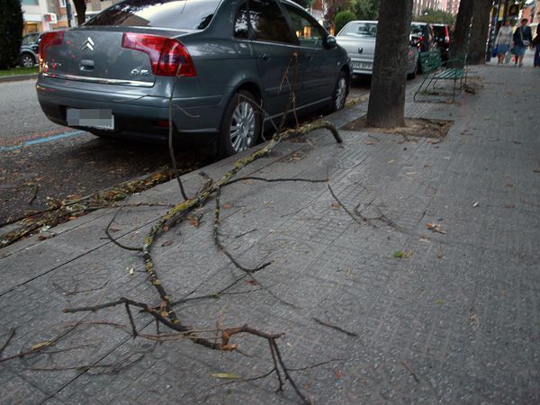 Burgos registra cientos de avisos por la ciclogénesis explosiva