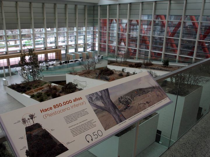 Aumentan un 5% las visitas al Sistema Atapuerca durante Semana Santa