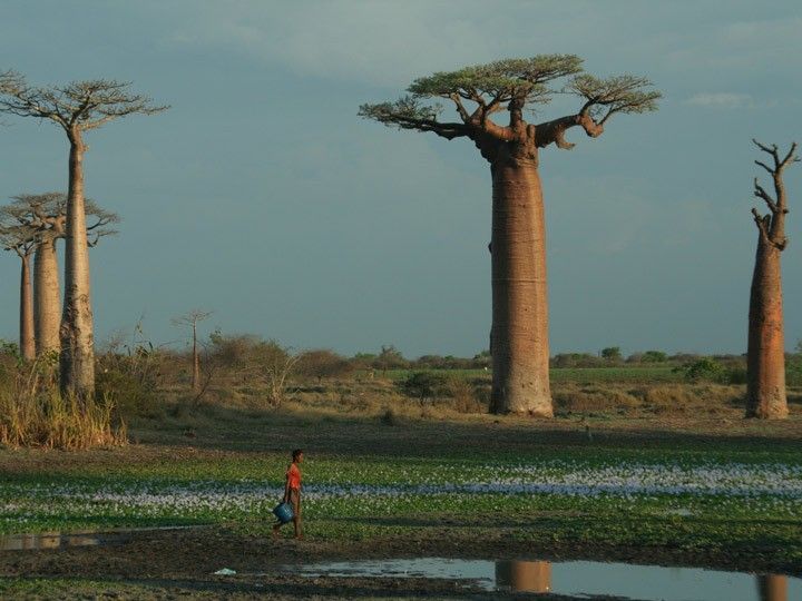 El Foro Solidario explica los objetivos de la Agenda 2030 a través de una exposición