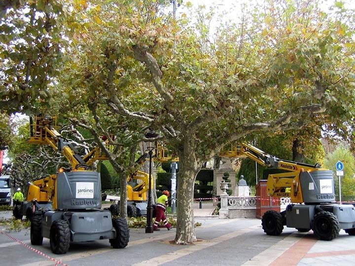 El PSOE apuesta por no ejecutar la prórroga del contrato de parques y jardines