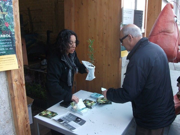 La Fundación Caja de Burgos distribuirá mañana 2.000 sabinas albares