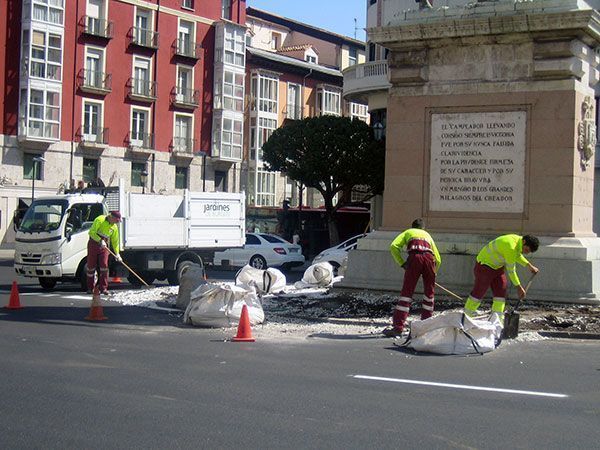 El PSOE pide denunciar de manera inmediata el contrato de parques y jardines