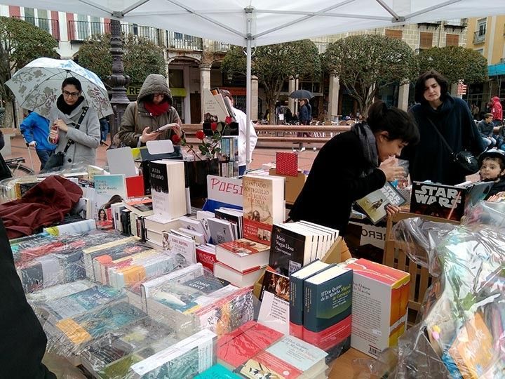 ‘El Quijote’ comparte protagonismo con la lluvia en el Día del Libro