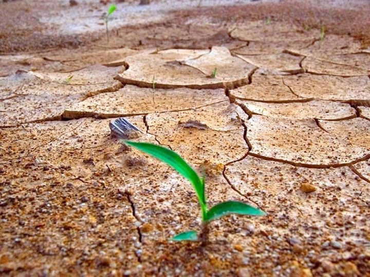 El Foro Solidario acoge un taller de resiliencia