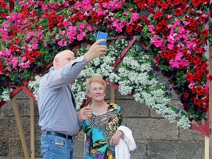 Todos los objetivos puestos en ellas, las flores