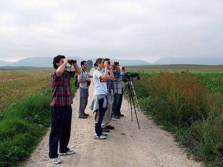 Burgos se suma al ‘Global Big Day’, Día Mundial de la Observación de Aves