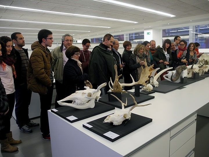 El CENIEH se suma a la Noche Blanca con visitas guiadas