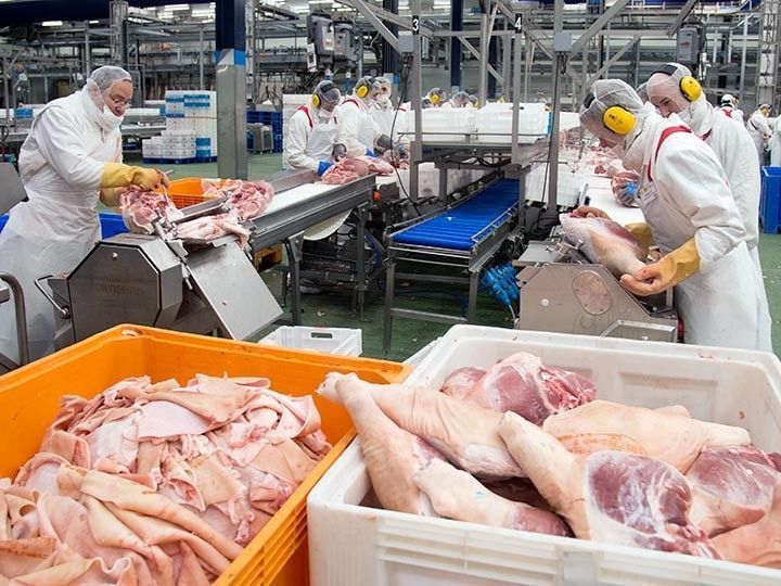 Carnes Selectas facilita la inserción de 60 jóvenes con una escuela de aprendizaje